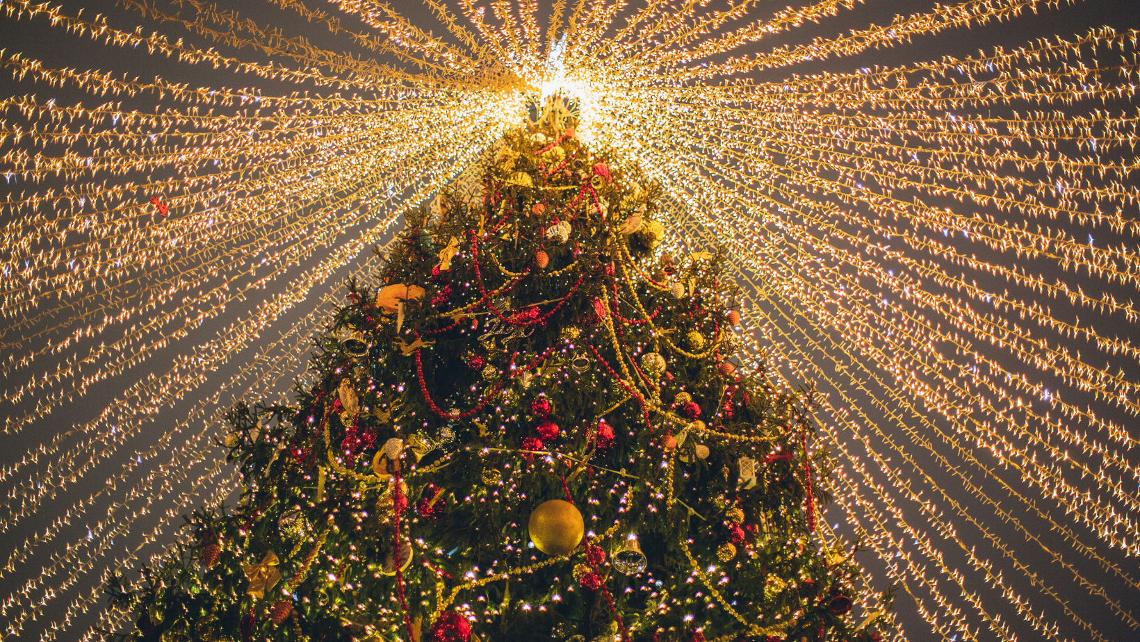 Christmas tree with fairy lights